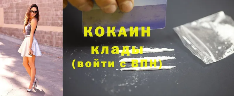 mega как войти  даркнет сайт  Камешково  Cocaine 98% 